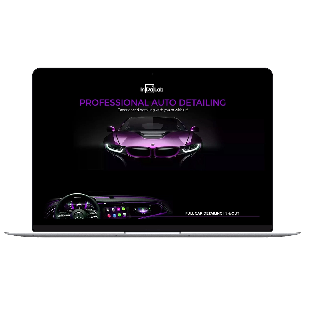 Professional auto detailing